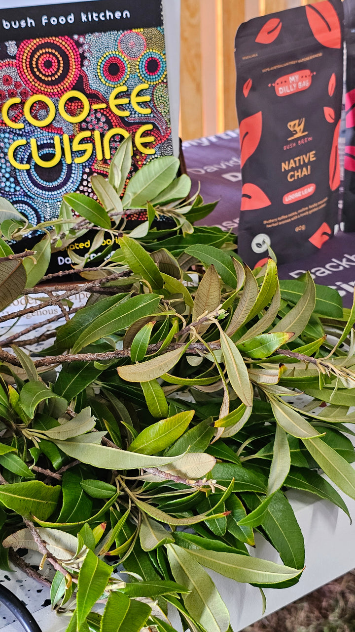 NATIVE TEA WORKSHOP WITH AUNTY DALE
