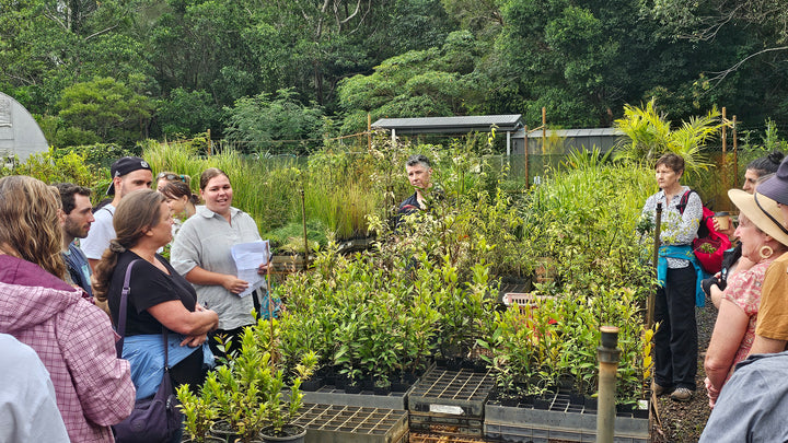 BUSHFOOD NURSERY WALK & TALK WITH JOSIE COX