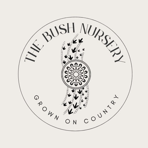 BUSHFOOD NURSERY WALK & TALK WITH JOSIE COX