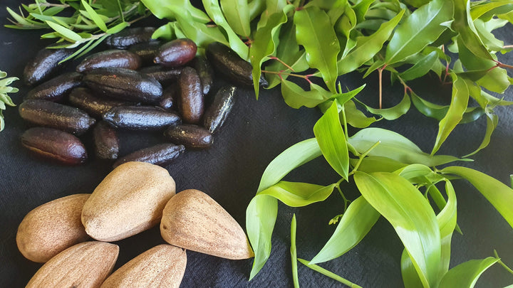 BUSHFOOD NURSERY WALK & TALK WITH JOSIE COX