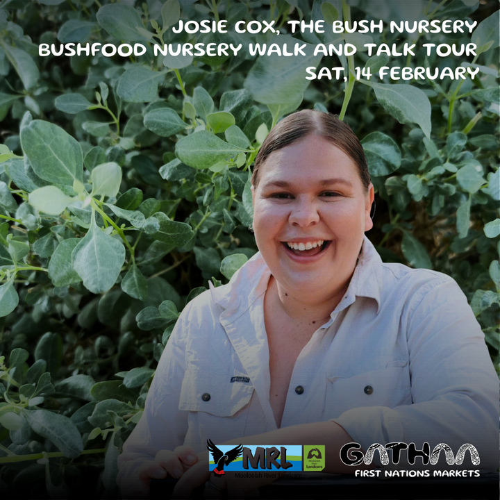 BUSHFOOD NURSERY WALK & TALK WITH JOSIE COX