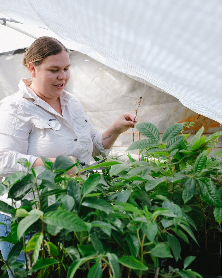 GATHAA BUSHFOOD LOVERS MARKET - FEBRUARY