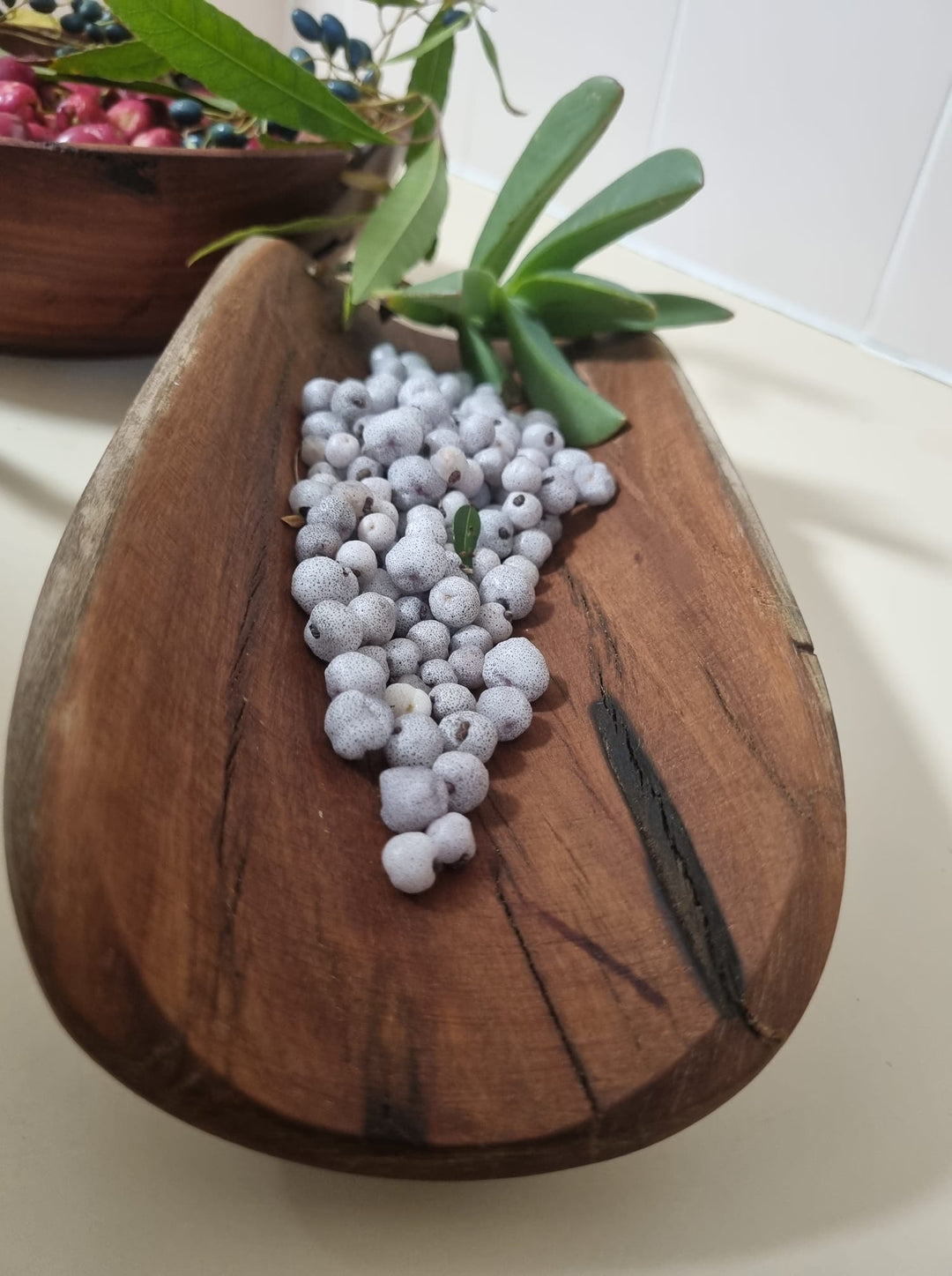 GATHAA BUSHFOOD & BOTANICAL MARKET SEPTEMBER 2025