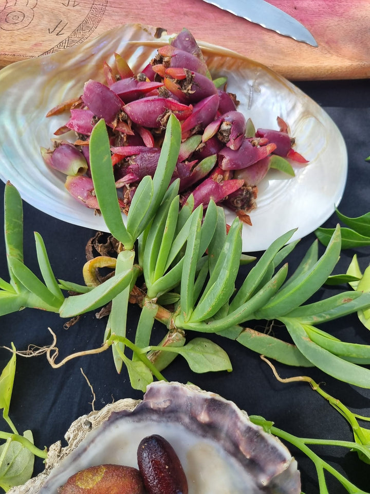 GATHAA BUSHFOOD & BOTANICAL MARKET SEPTEMBER 2025